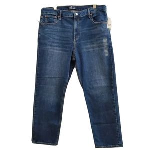 NWT Gap High Rise Straight Distressed Jean T140